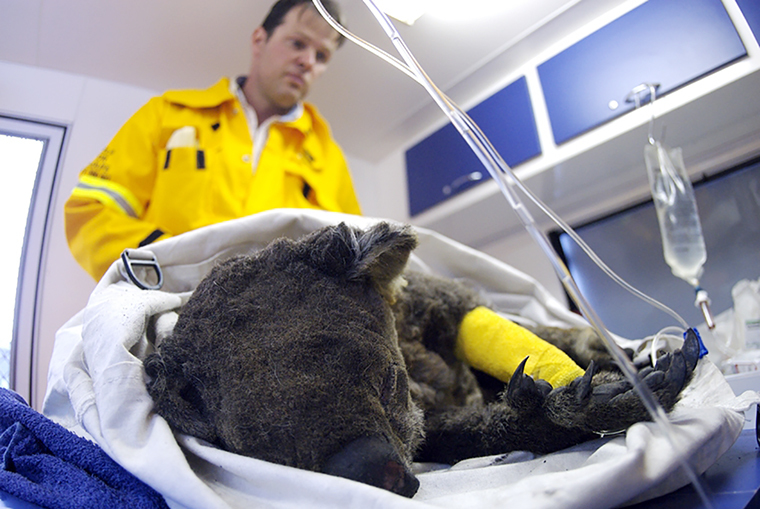 Australie foto2