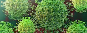 coronavirus