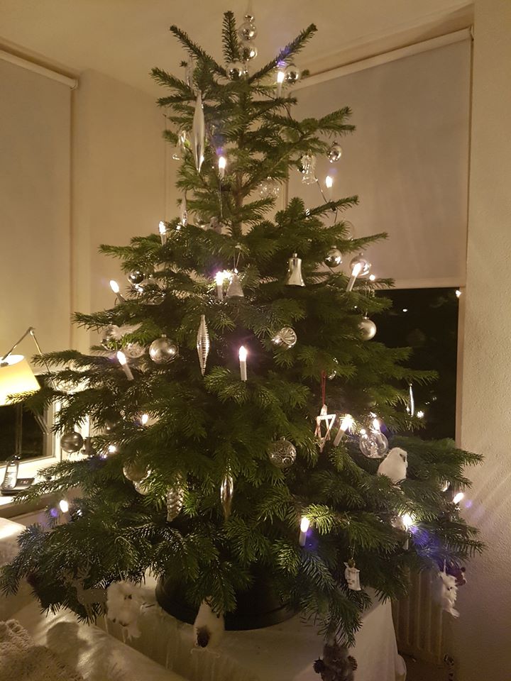 Kerstboom 2019