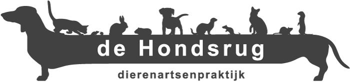 DAP de Hondsrug